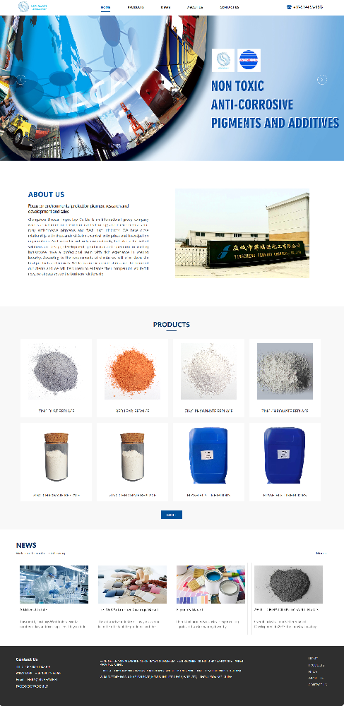 常州斯利恩防腐顏料外貿(mào)網(wǎng)站制作開發(fā)建設(shè)案例