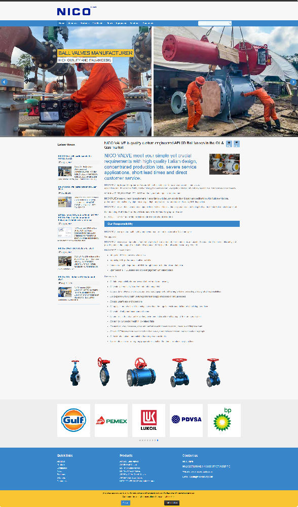 無錫市尼柯工業(yè)技術(shù)有限公司閥門外貿(mào)型網(wǎng)站建設(shè)制作開發(fā)案例