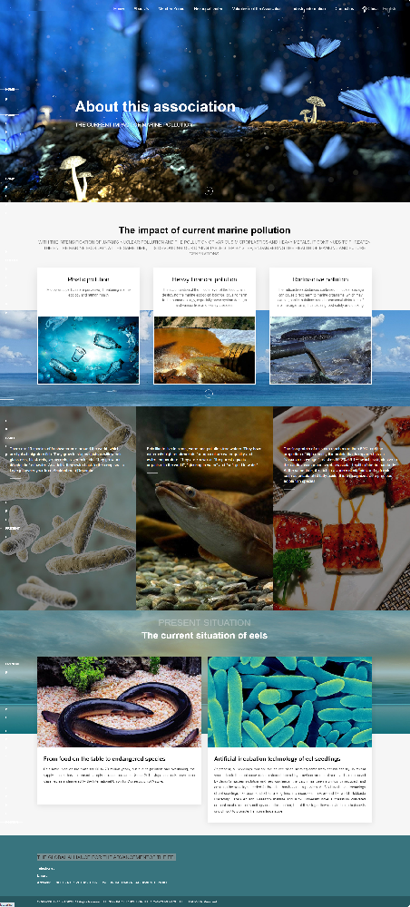 全球鰻魚進步聯盟英文企業官網建設制作定制案例