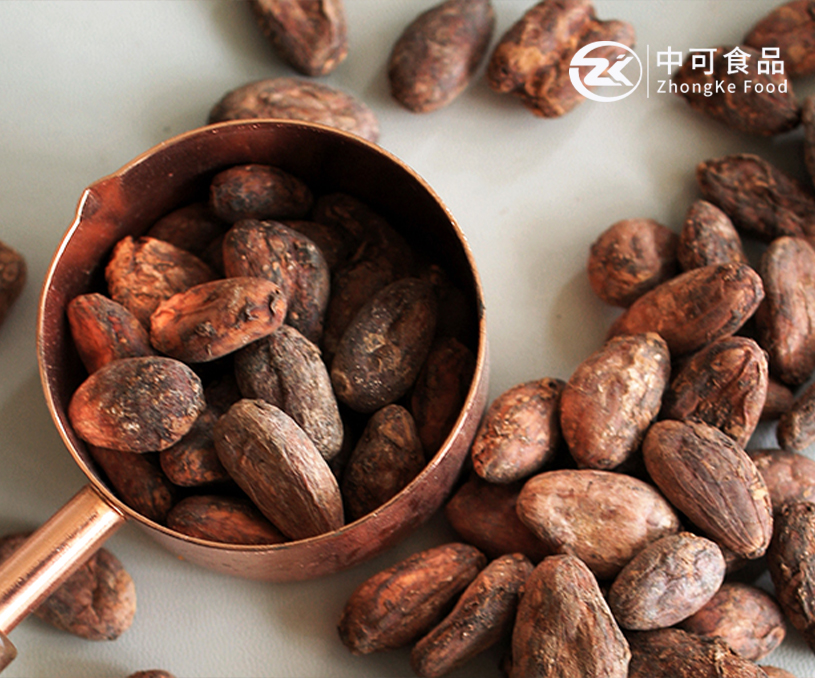 丹陽市中可食品有限公司可可粉產品阿拉伯語外貿網站建設制作案例